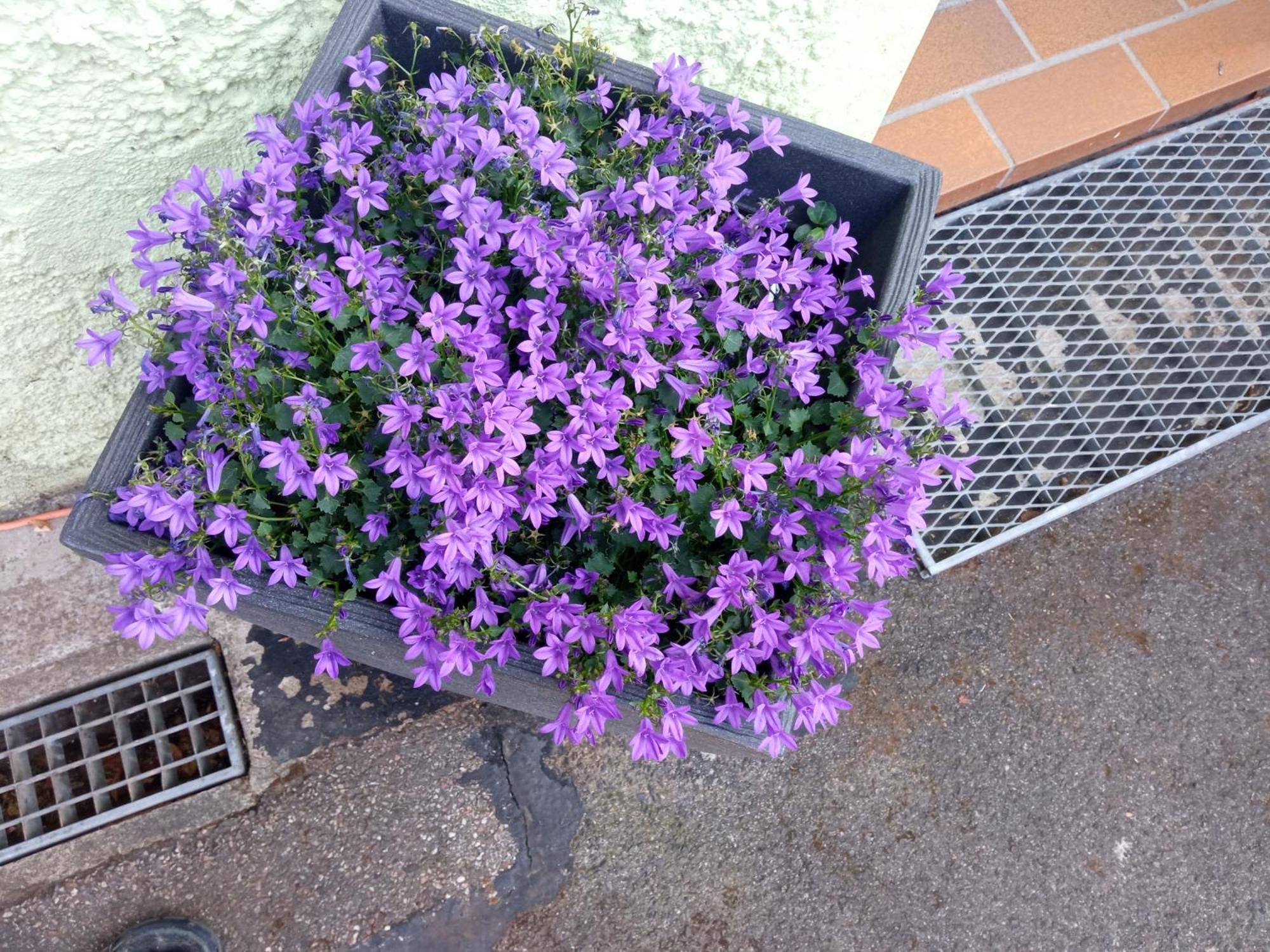 Ferienwohnung am Kocher-Jagst Radweg Neuenstadt am Kocher Exterior foto